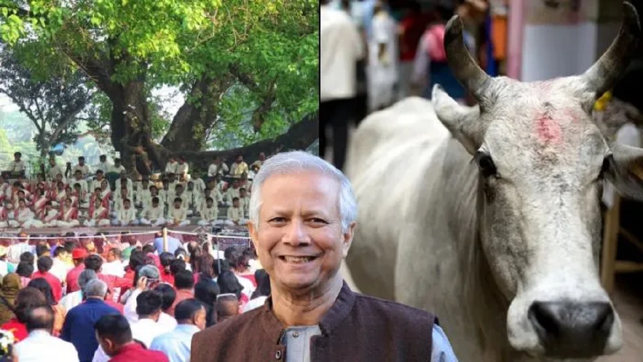 बंगाली नव वर्ष पर 100 गाय काटने की कट्टरपंथियों ने दी धमकी, ‘पोहेला बोइशाख’ को इस्लामी जलसे में बदलने की कोशिशों पर युनुस सरकार चुप: खौफ में बांग्लादेश के हिंदू