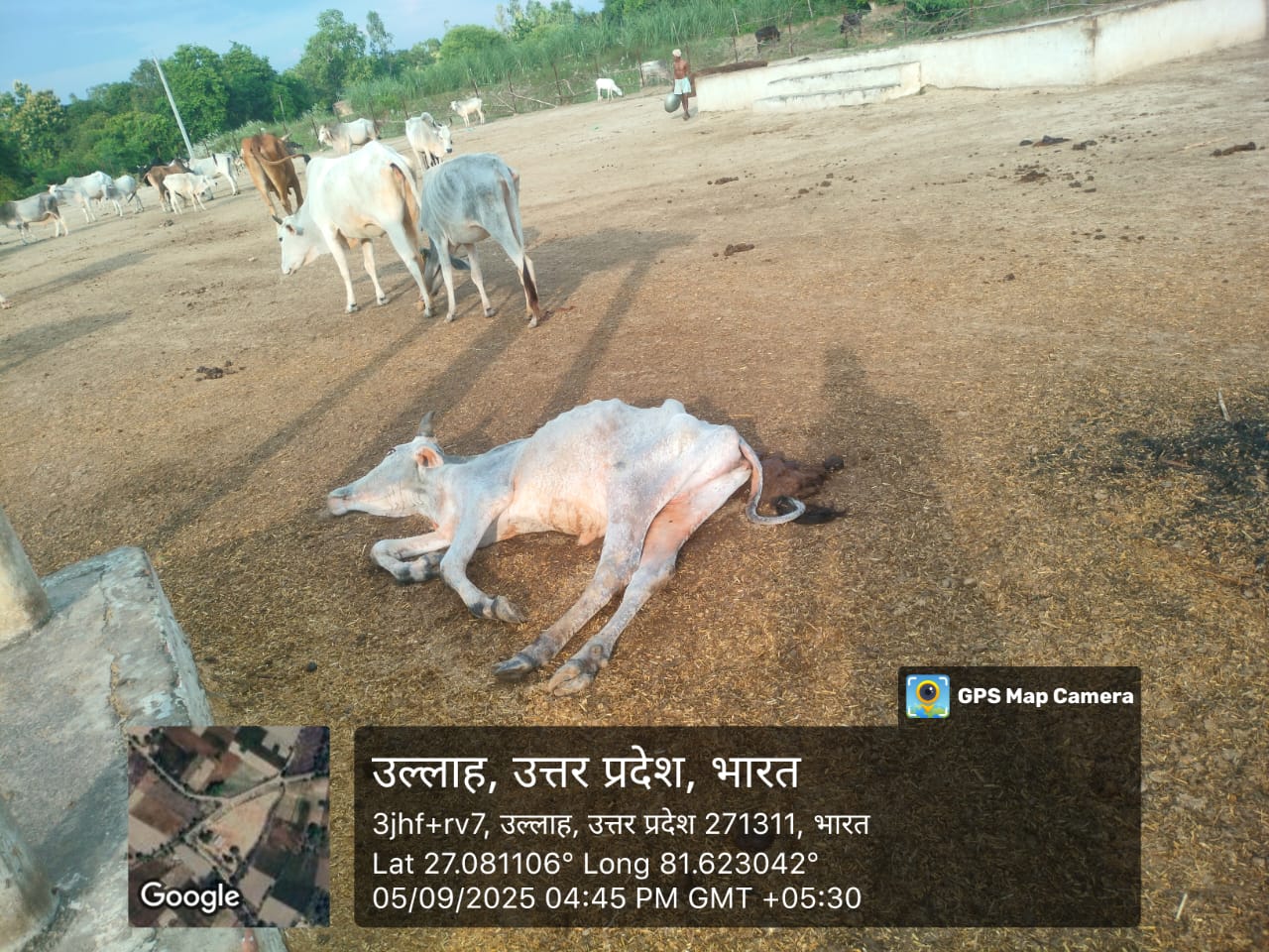 गंगेश सिंह ने किया औचक निरीक्षण