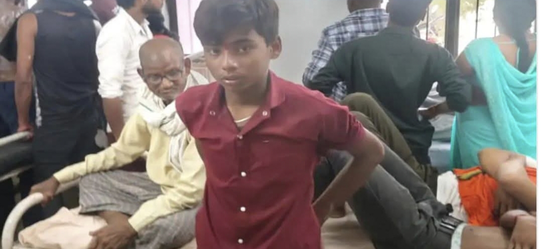 मूर्ति विसर्जन के दौरान मधुमक्खियों का हमला, 35 लोग घायल