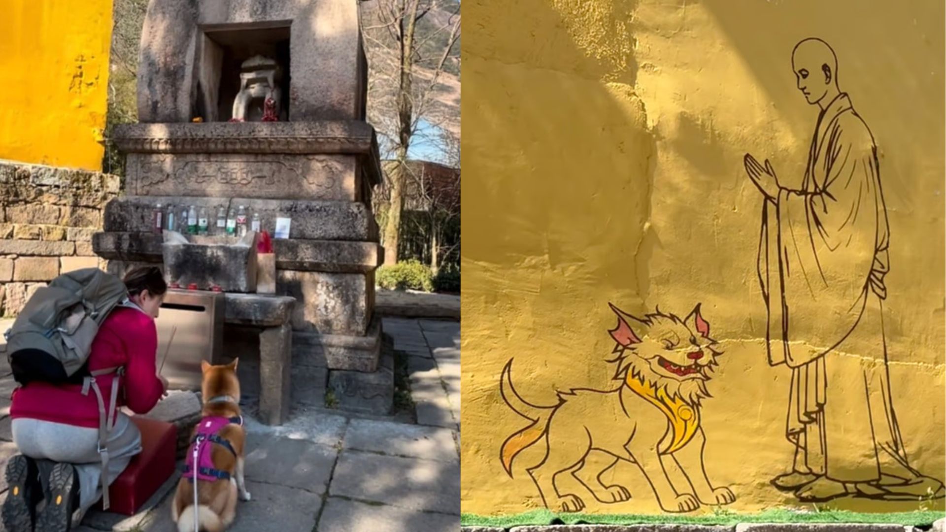 ₹1200 में ताबीज, ₹850 का टिकट, माओ के देश में कुत्ते का मंदिर: बौद्ध पैगोडा में ‘दीटिंग देवता’ की पूजा से स्वस्थ-सलामत रहते हैं पेट डॉग्स, जुड़ी है पौराणिक कहानी